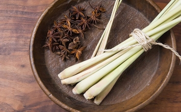 Tế bào ung thư tự tiêu huỷ bởi nước cây sả tươi